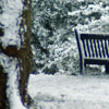 Bench in Snow